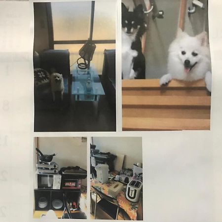 Stay Akeboshi Kan Hakodate Kültér fotó