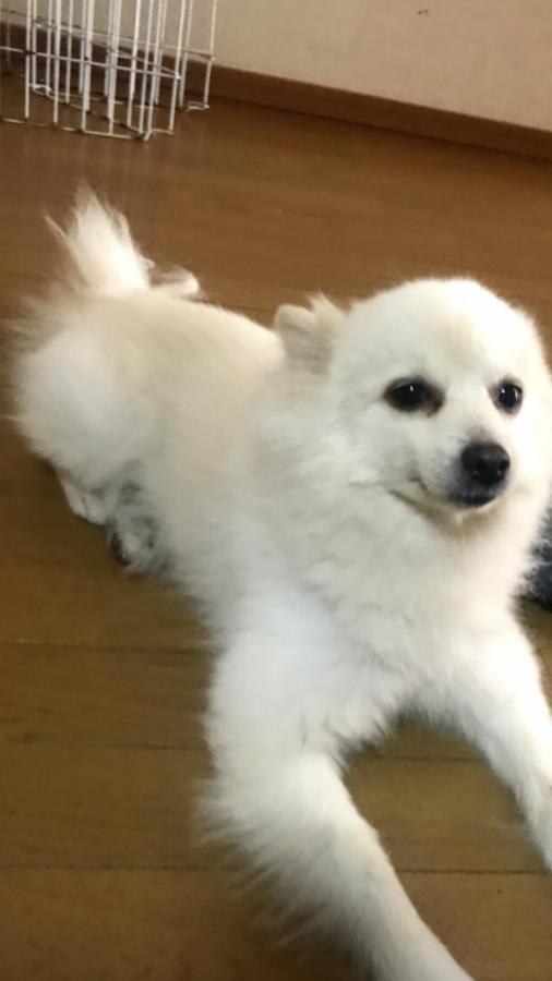 Stay Akeboshi Kan Hakodate Kültér fotó
